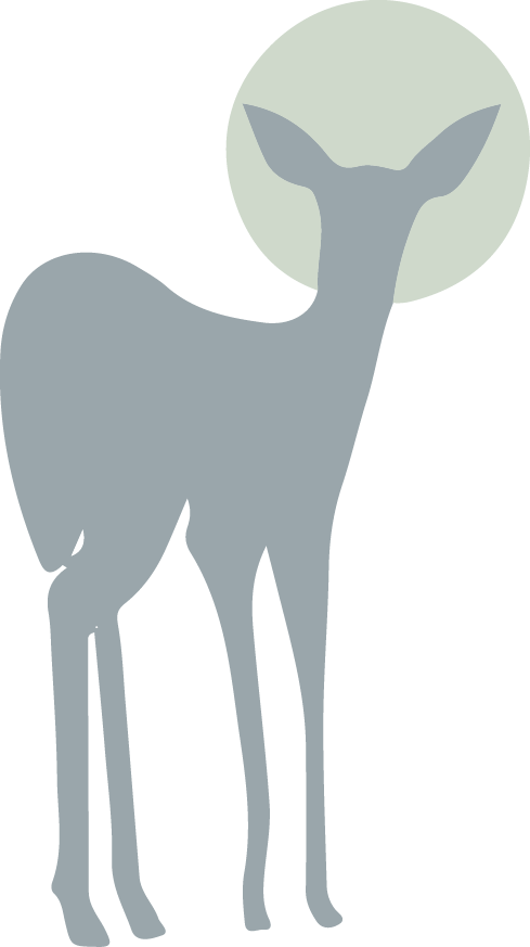 biche png