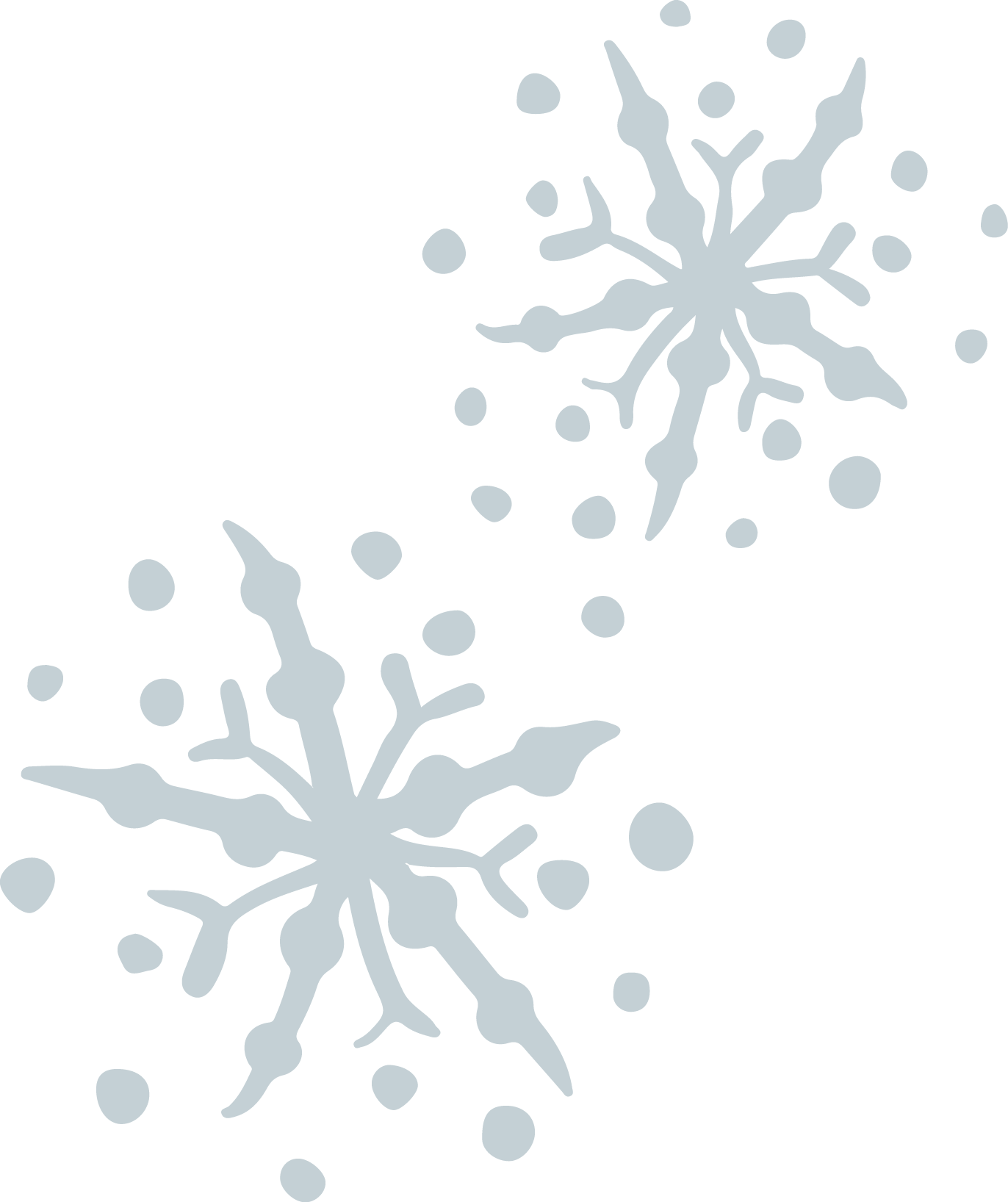 flocons