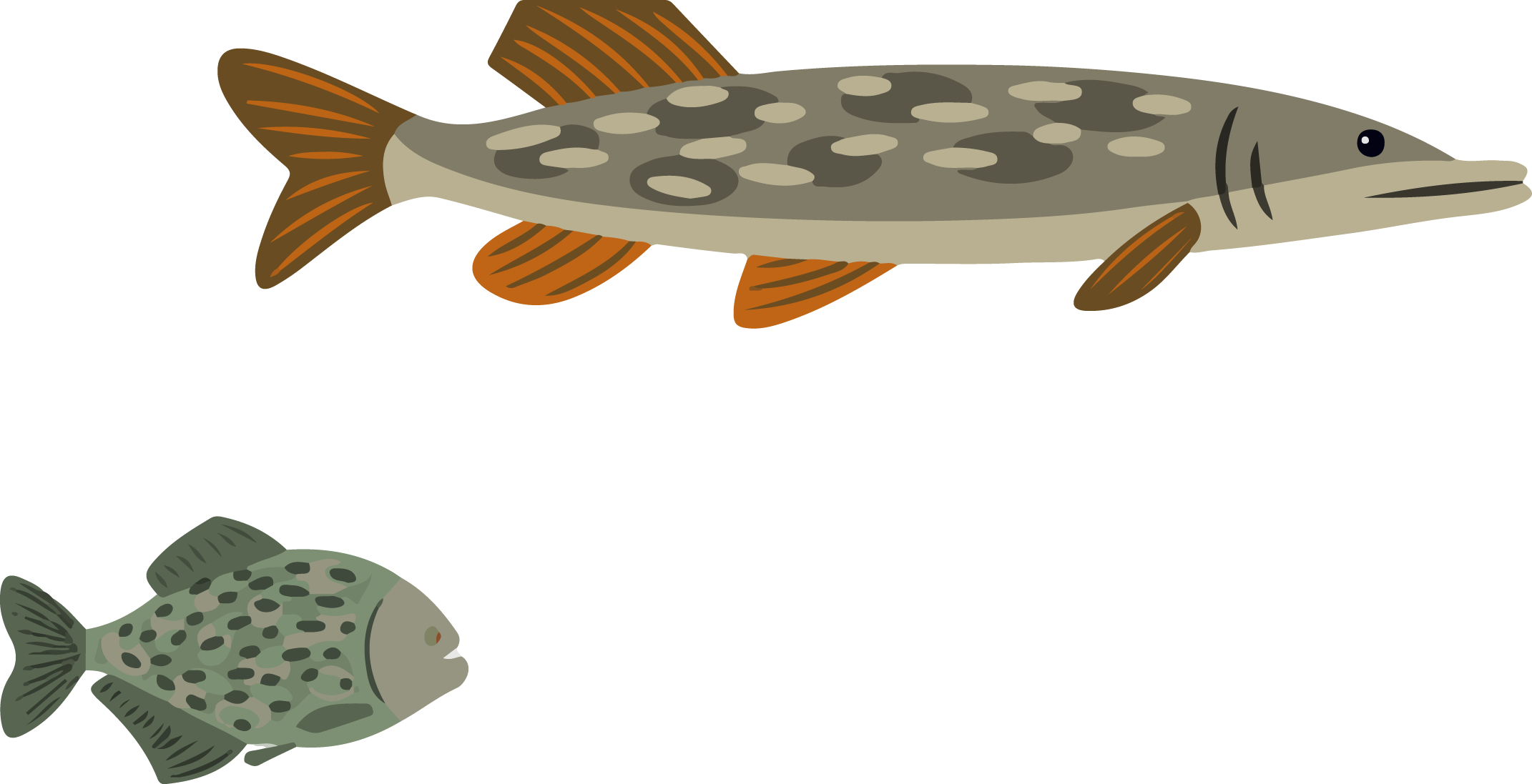 poissons png